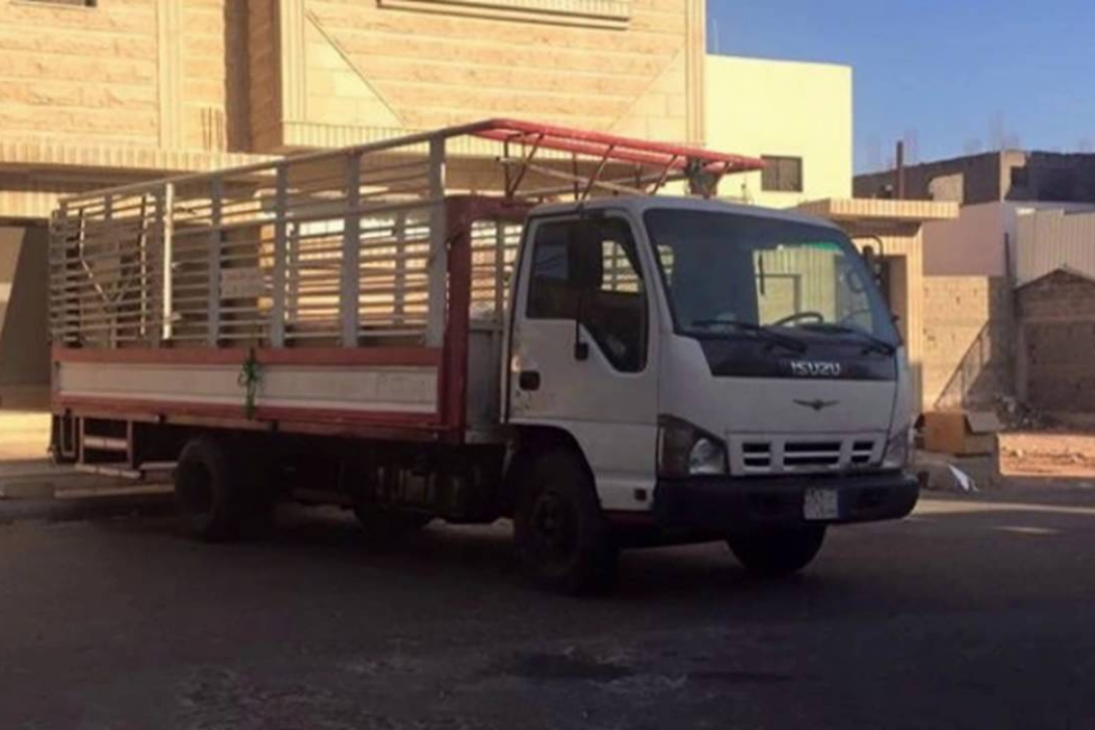 دينا نقل عفش الرياض